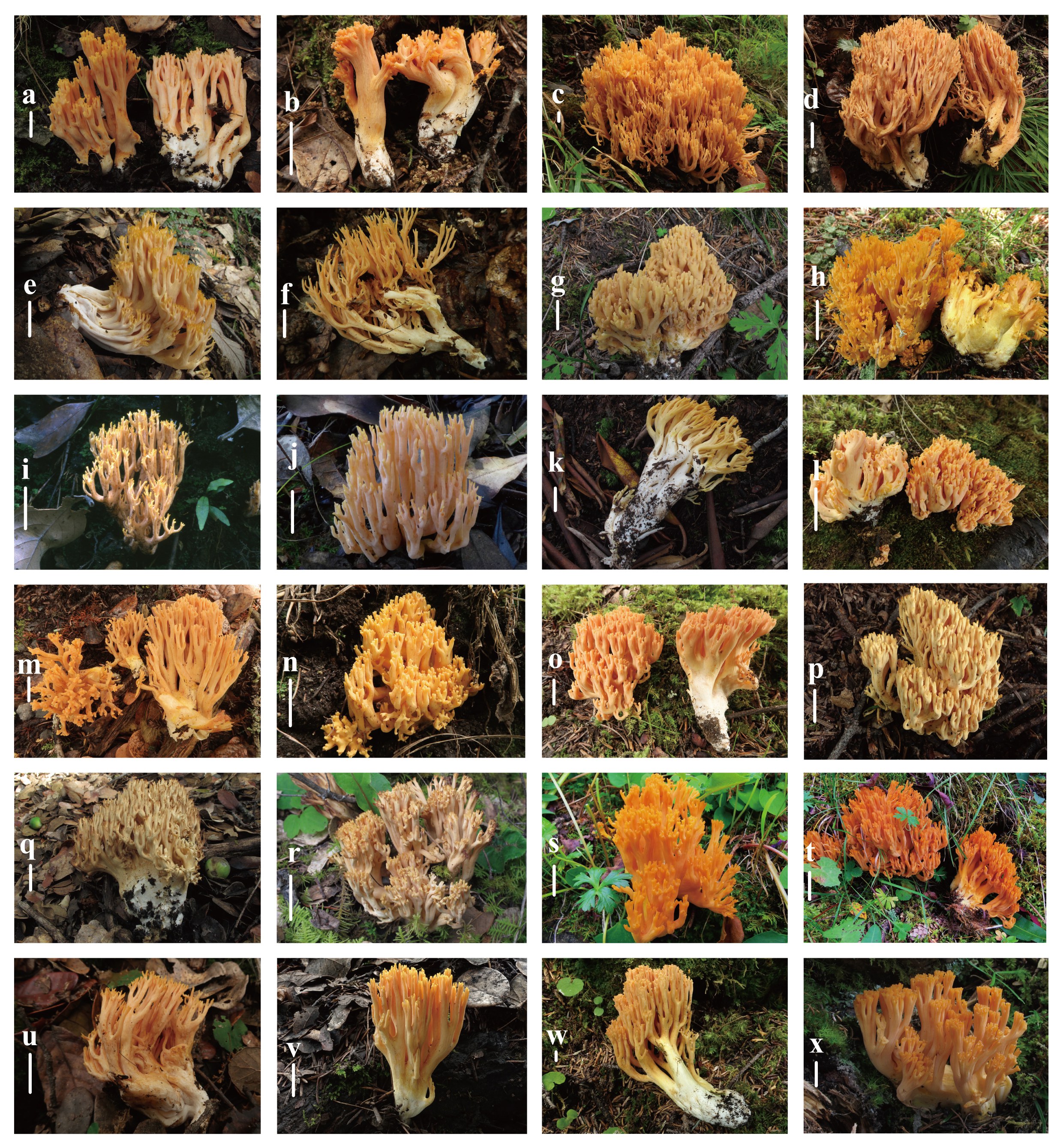 Figure 28